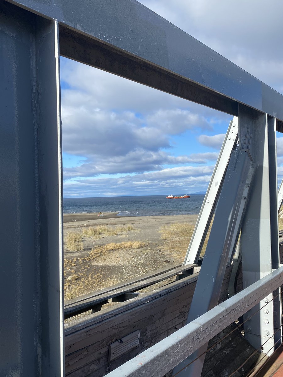 Daniel Briceño tweet media