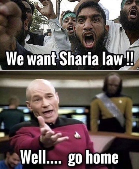 Salt 'n' Light tweet media