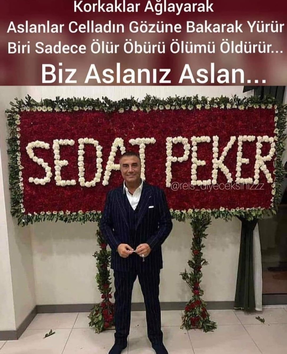 @imdat suluk16 tweet media