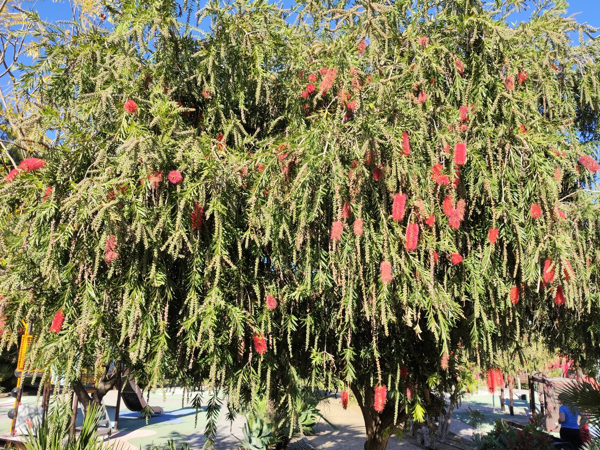 CreatiBrain tweet media