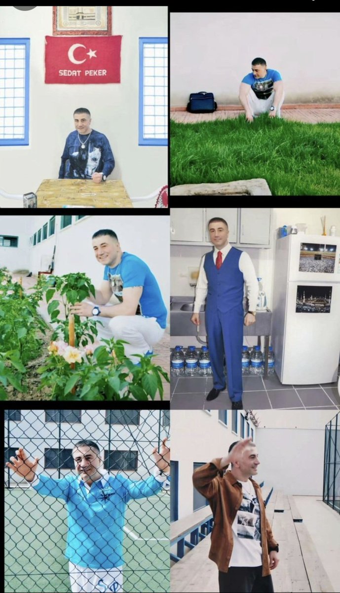 @imdat suluk16 tweet media