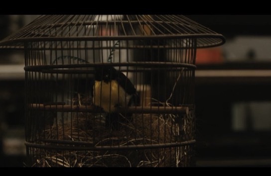 Daily Harry Potter tweet media