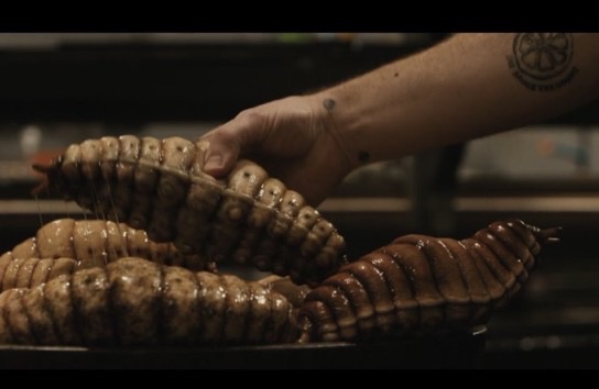 Daily Harry Potter tweet media