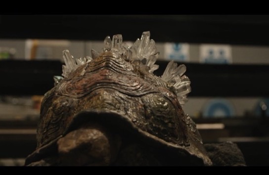 Daily Harry Potter tweet media