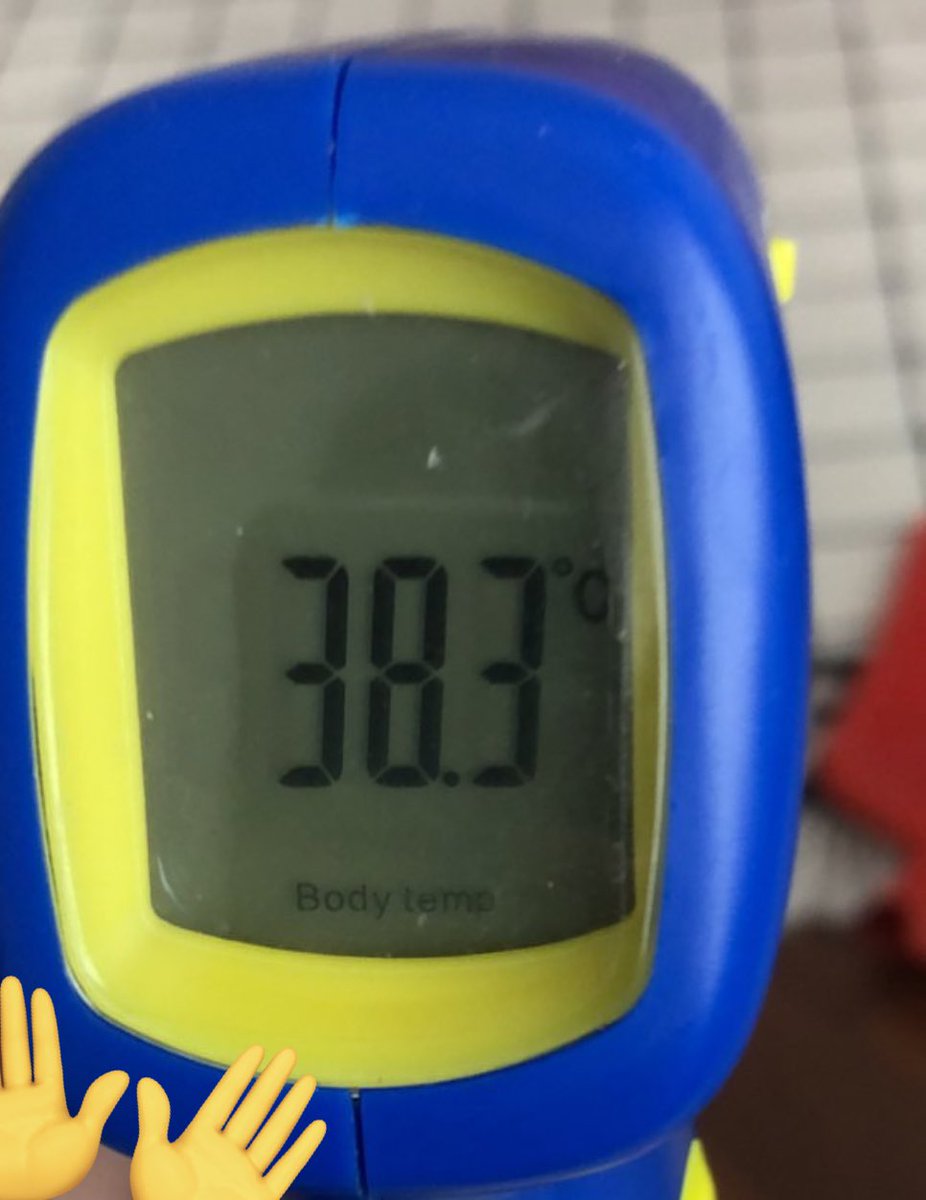 melisa 25 tweet media