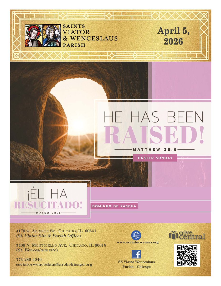 StViatorChi tweet media