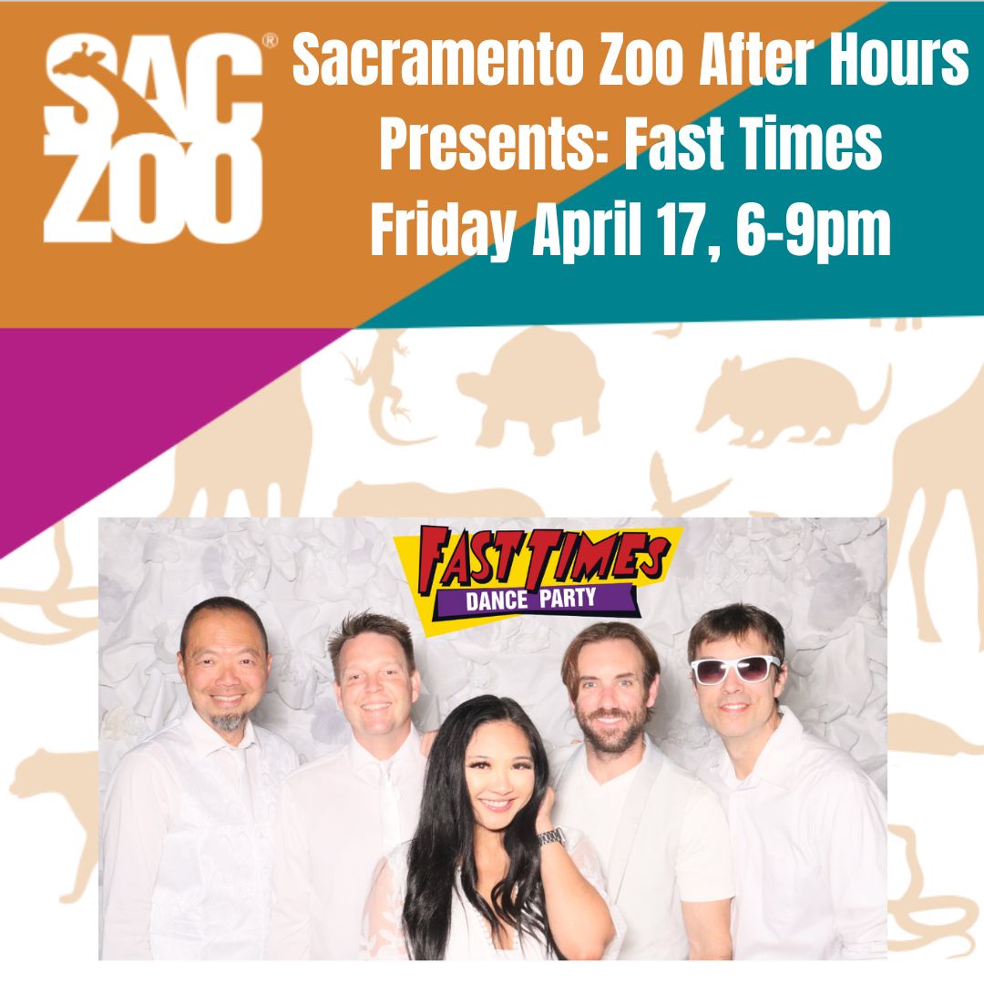 FastTimes80s's tweet photo. Join us for Sac Zoo's 21+ After Hours event featuring Fast Times on Fri April 17 Get the group together, dance, enjoy the sights &amp; sounds of the Zoo
Don’t miss this unique, adult-only evening. Tickets are limited, but the fun won’t be!
Tickets: https://t.co/kJ6HhQg37g https://t.co/WnyOzIsoPI