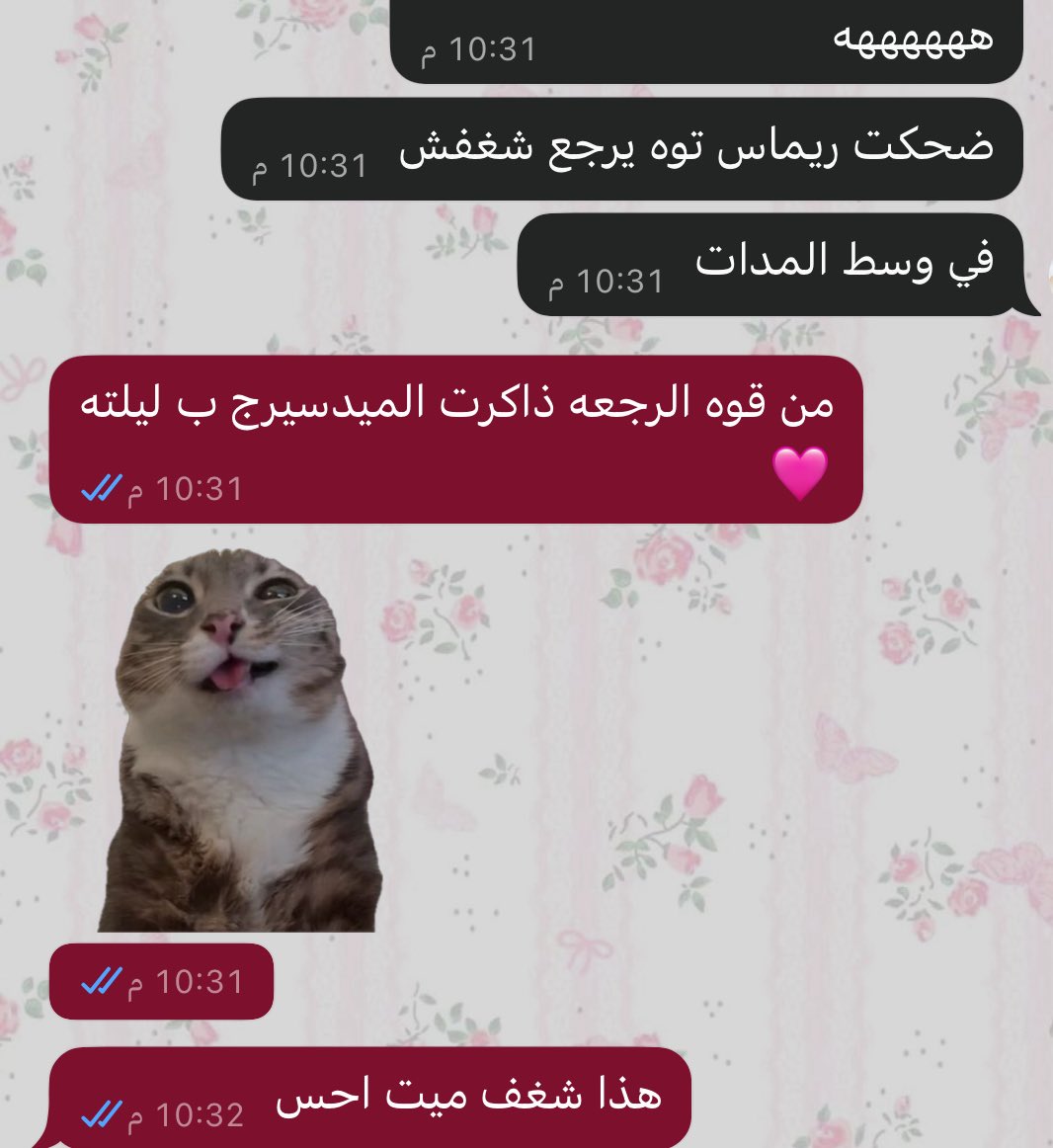⋆𐙚₊ 𝑹𝒊𝒎𝒂𝒔 ˚⊹ tweet media