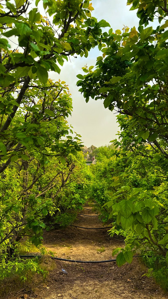 هالـه . (@lluli__) on Twitter photo 