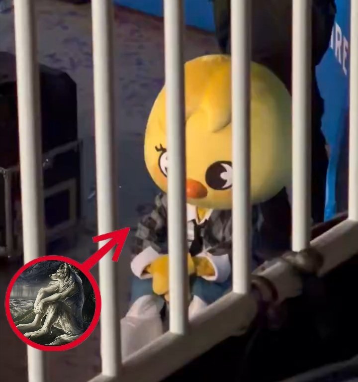 mont ʚଓ tweet media