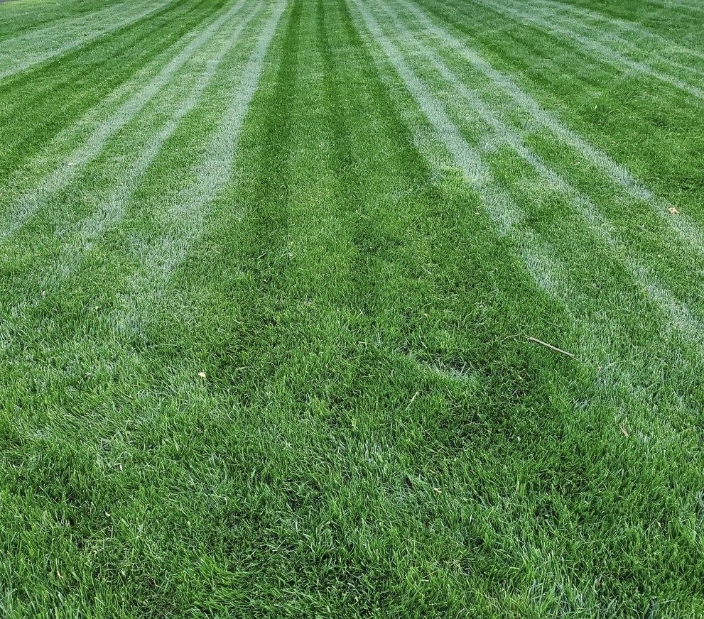 Weggie Rayne tweet media