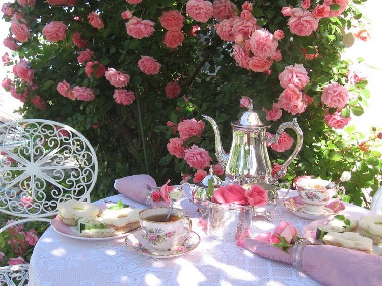 mizo ︎︎◝✩ tweet media