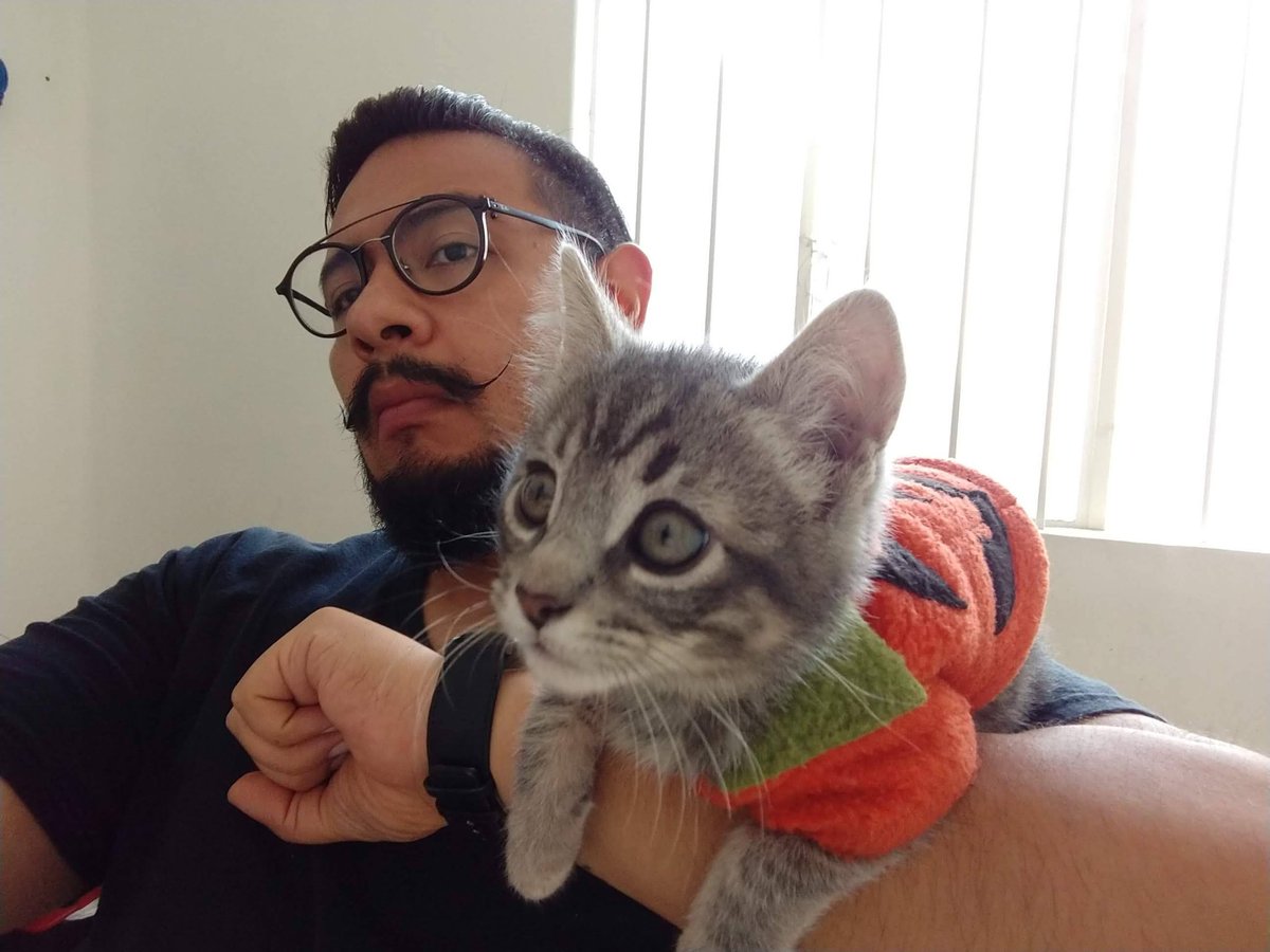 Mistici Sentieri tweet media