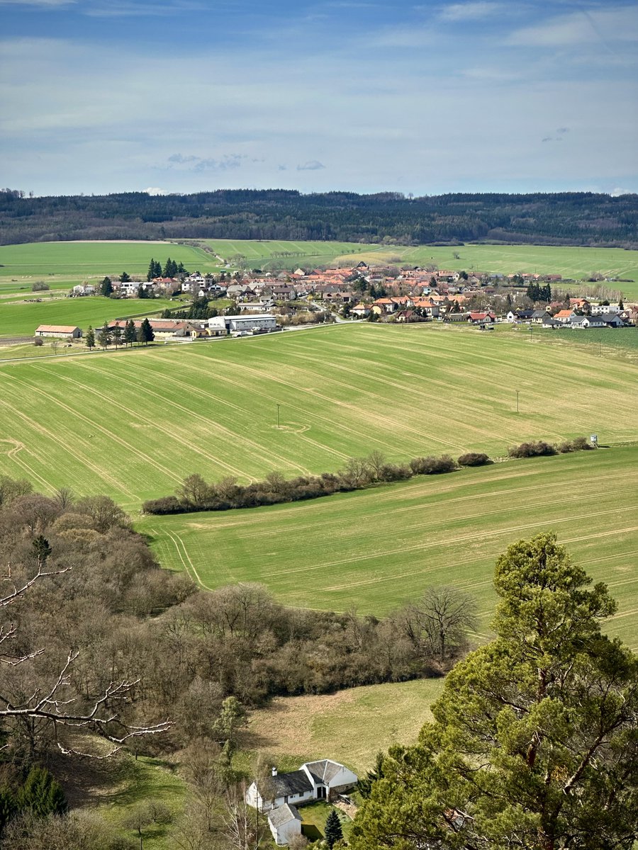 🅰️ndrei tweet media