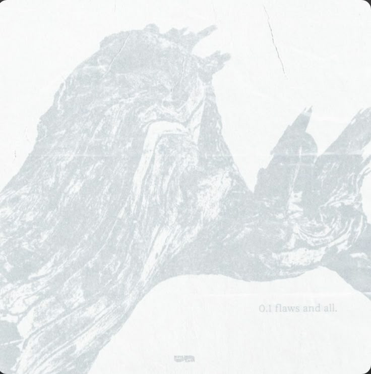 𐓟da 🪽 tweet media