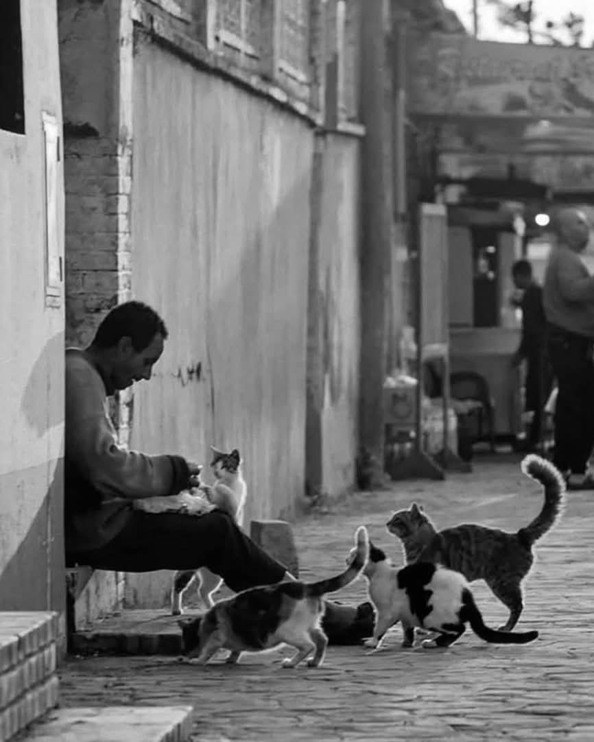 💞‏رُٓوٌٓحًےّْ💞ℛ ❥ْْ❥ْْ𝟟💞 tweet media