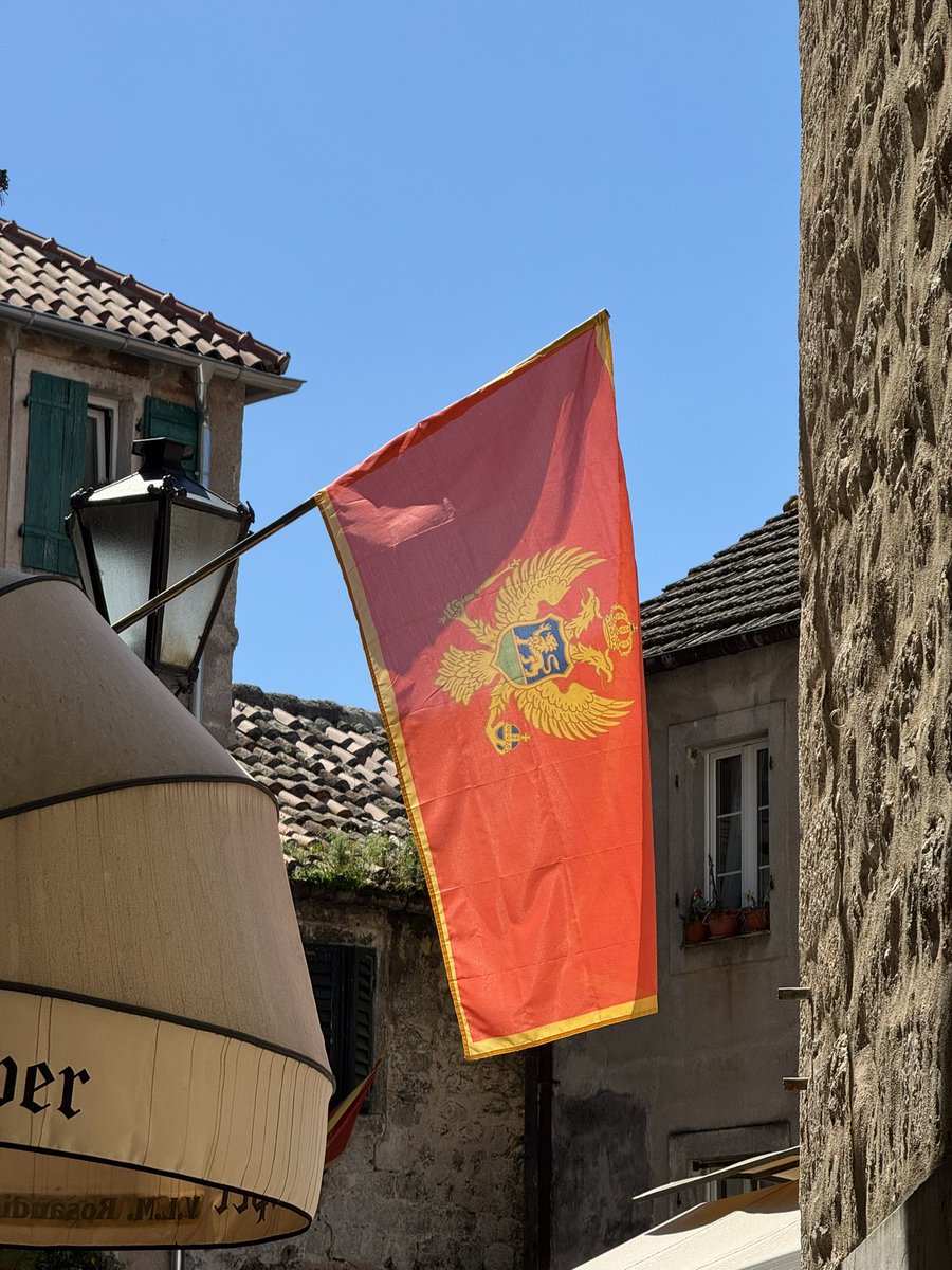 Adl⚡️ tweet media