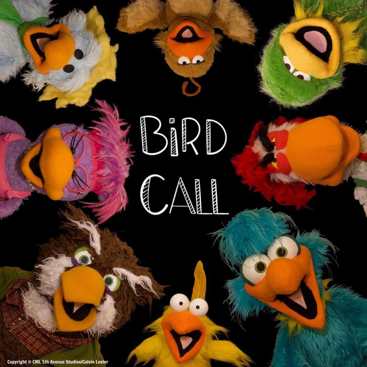 Bird Call tweet media
