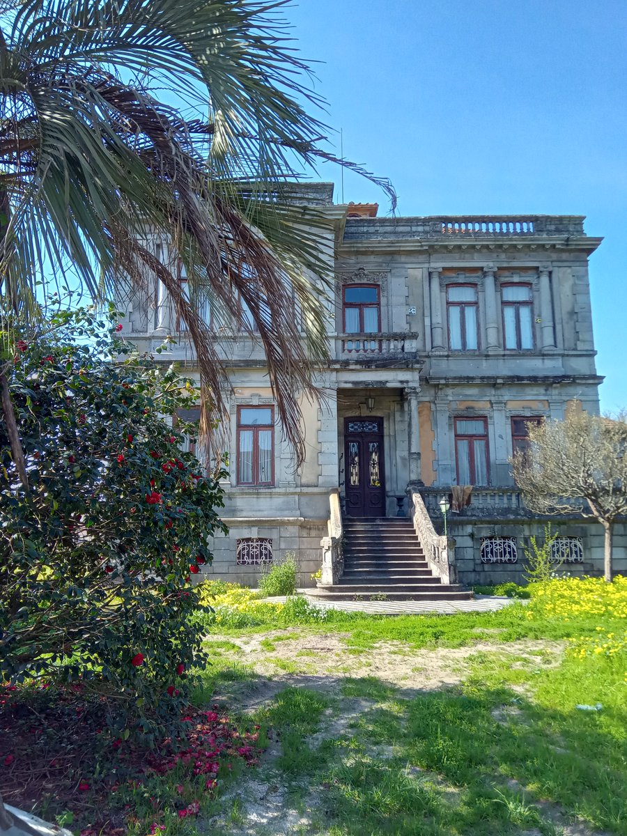 TennisAddict tweet media