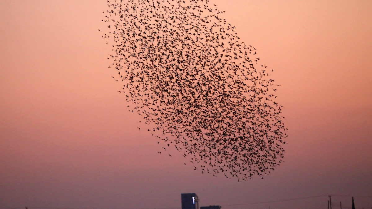 FOCUS online tweet media