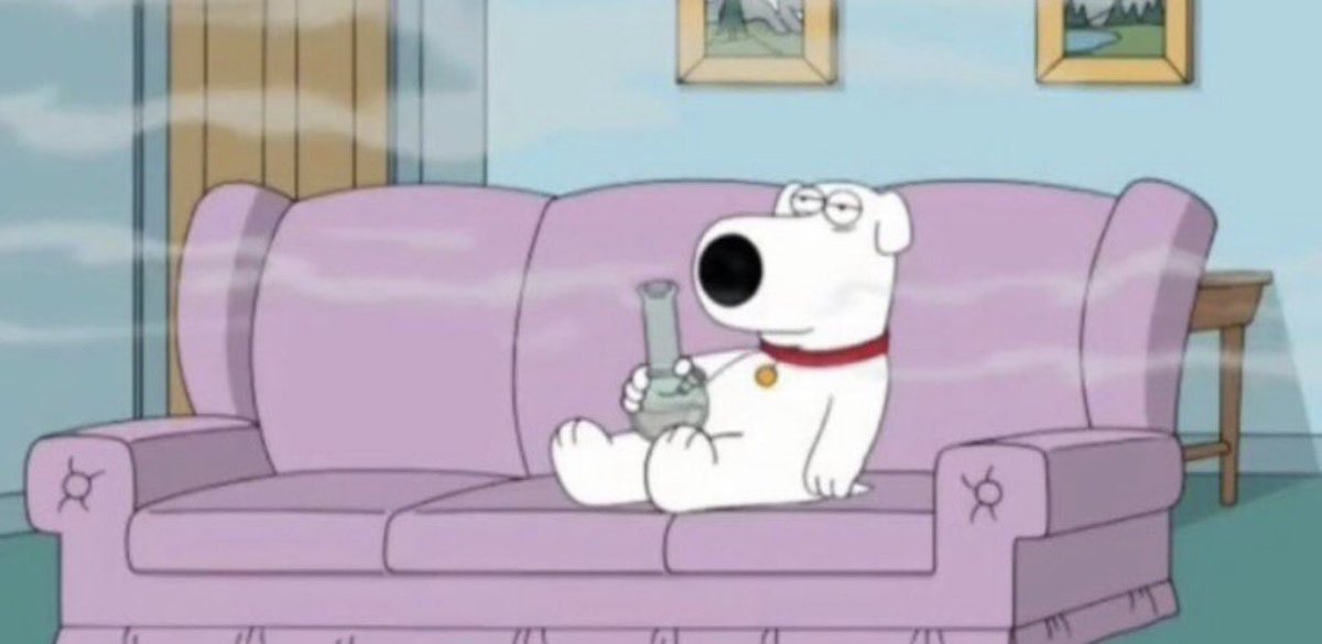 gu̸c̸c̸i̸fe̸r tweet media