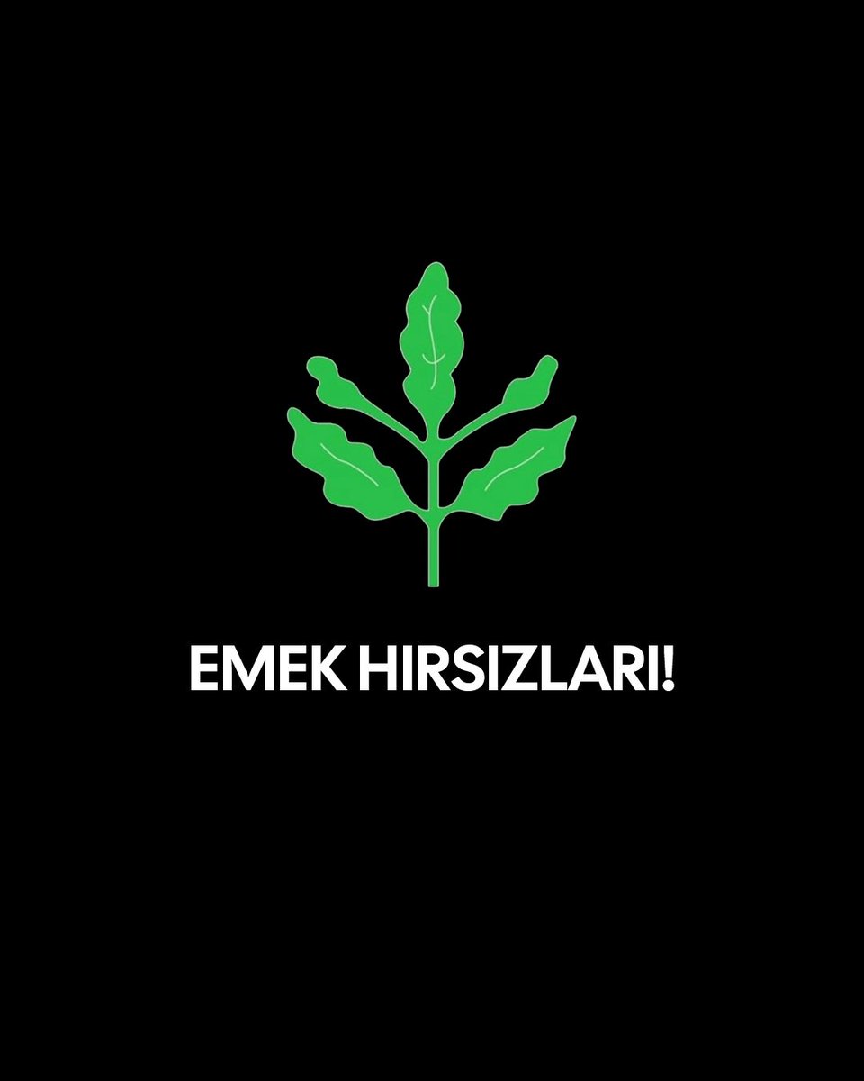 Kevincan JK 🇰🇷 tweet media