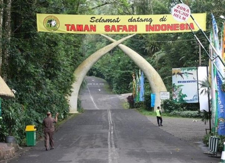 ميار tweet media