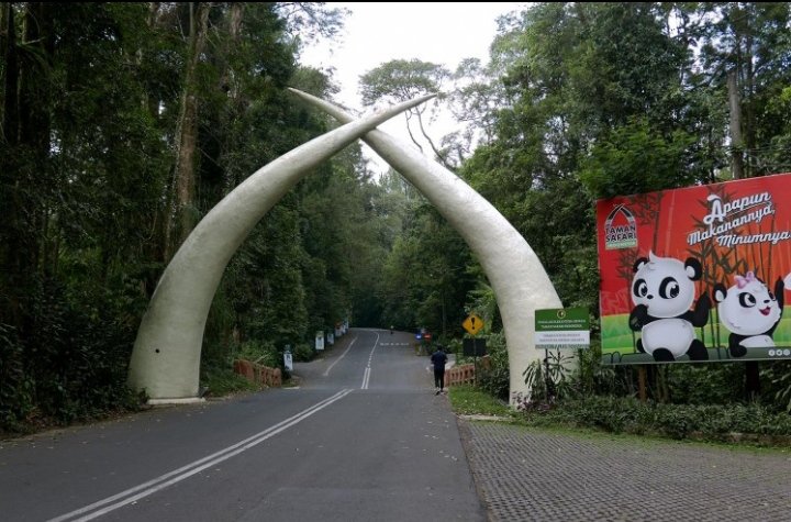 ميار tweet media