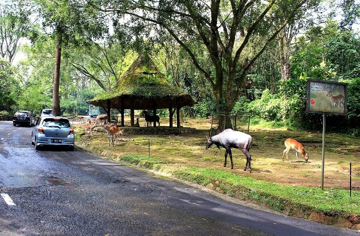 ميار tweet media