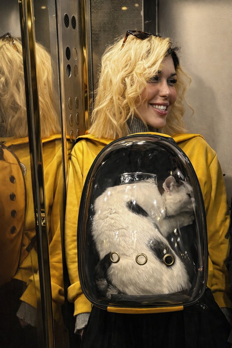 Amir.Parhiz tweet media