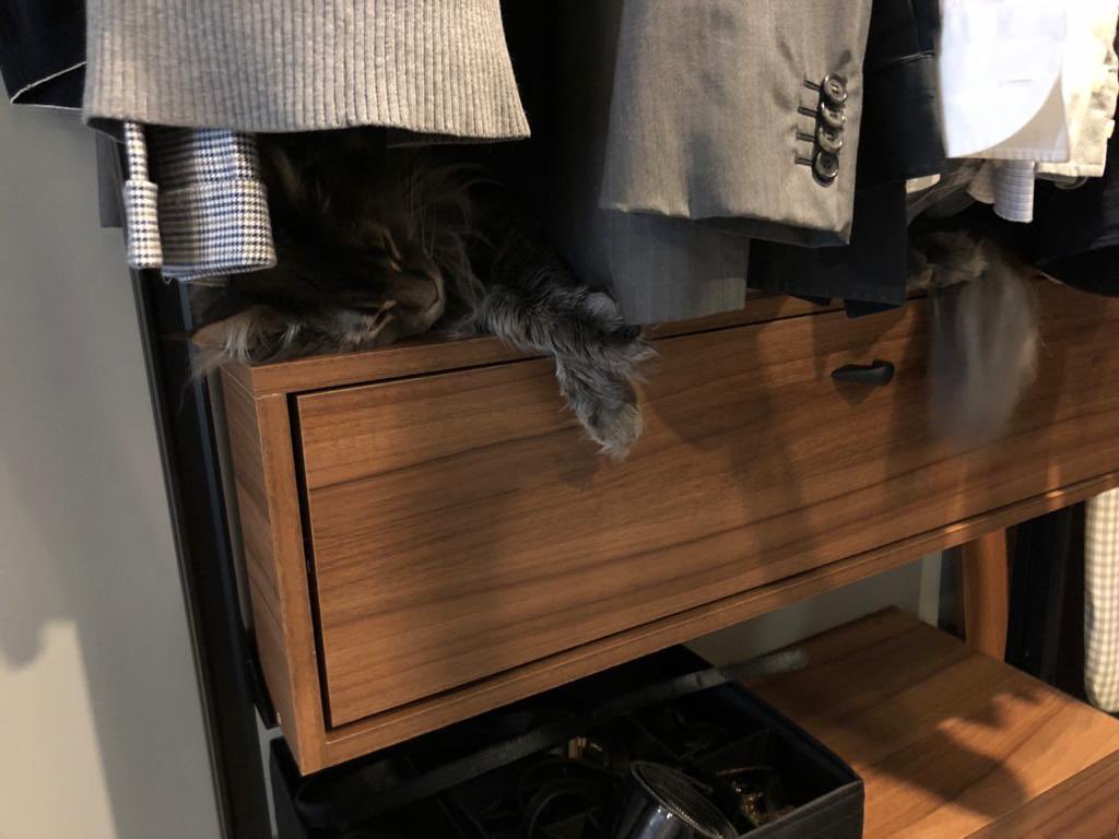 Maxim Elfimov tweet media