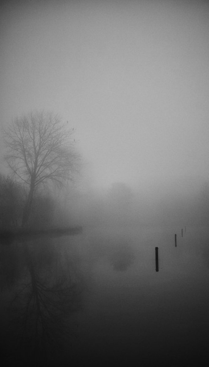 NIN75_'s tweet photo. A strange day....... https://t.co/xdgWAoQHmQ