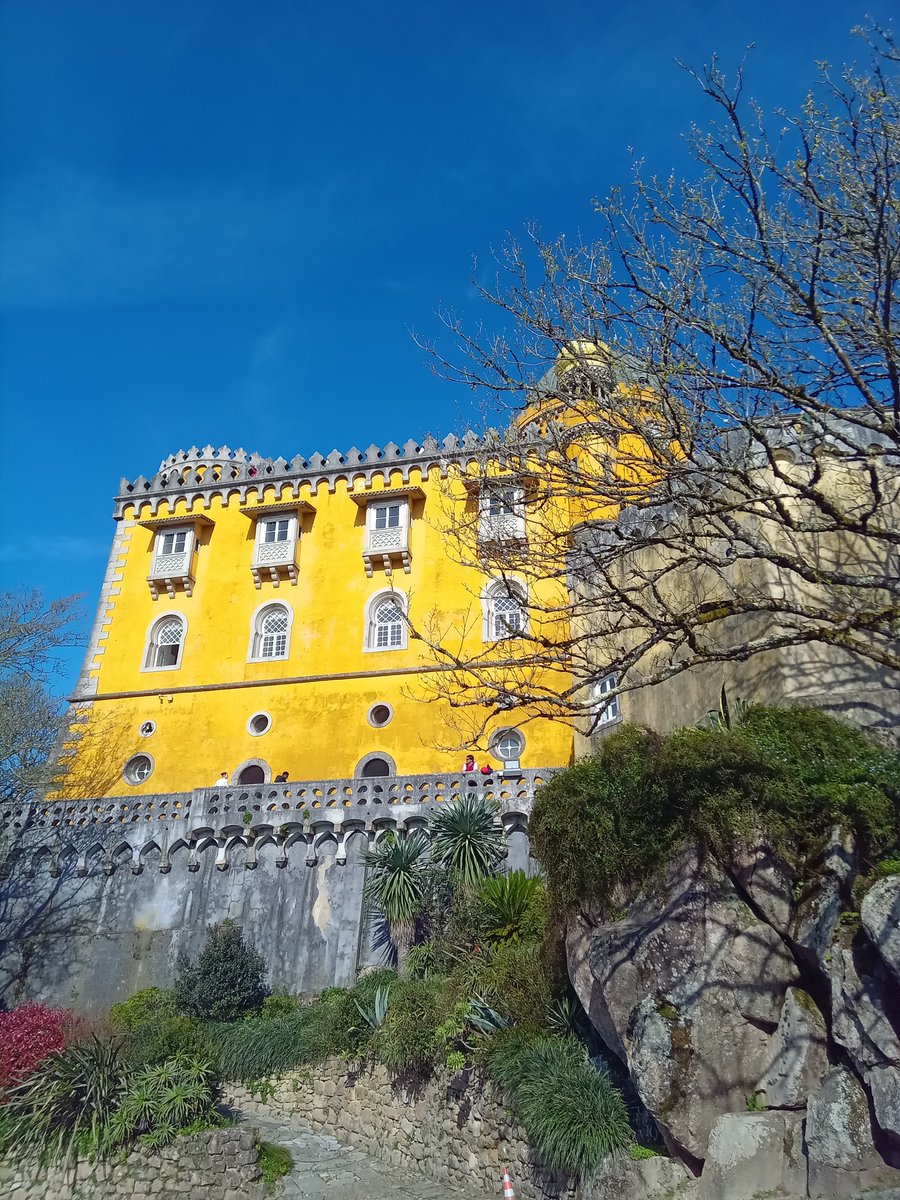 TennisAddict tweet media