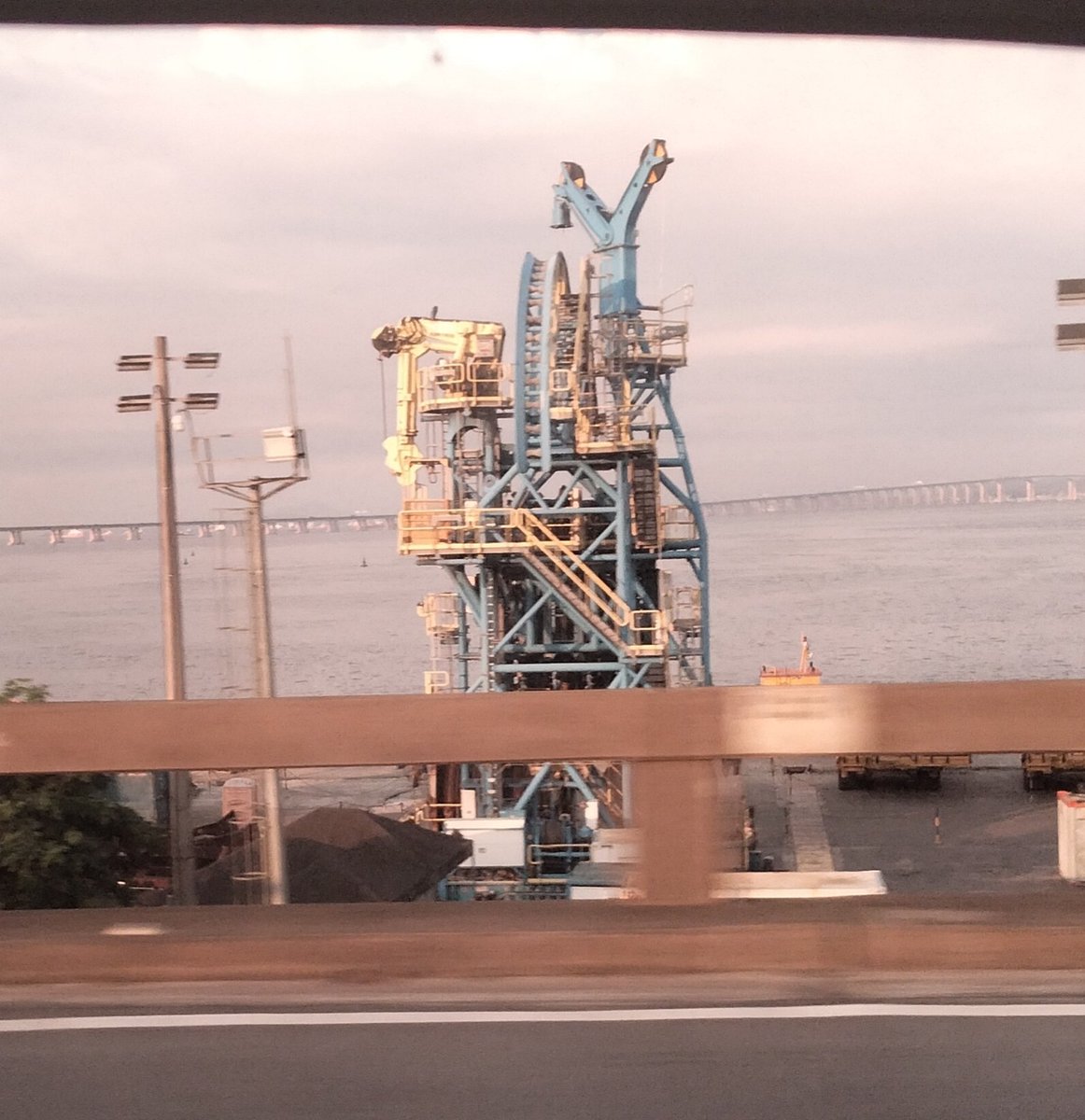 angeloteuthis celestialis tweet media