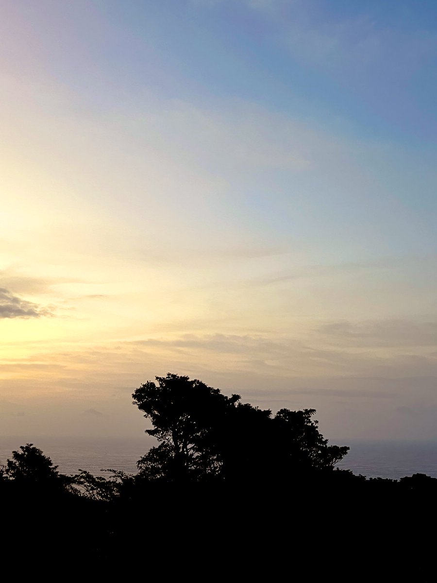 🌸同感🌸 tweet media