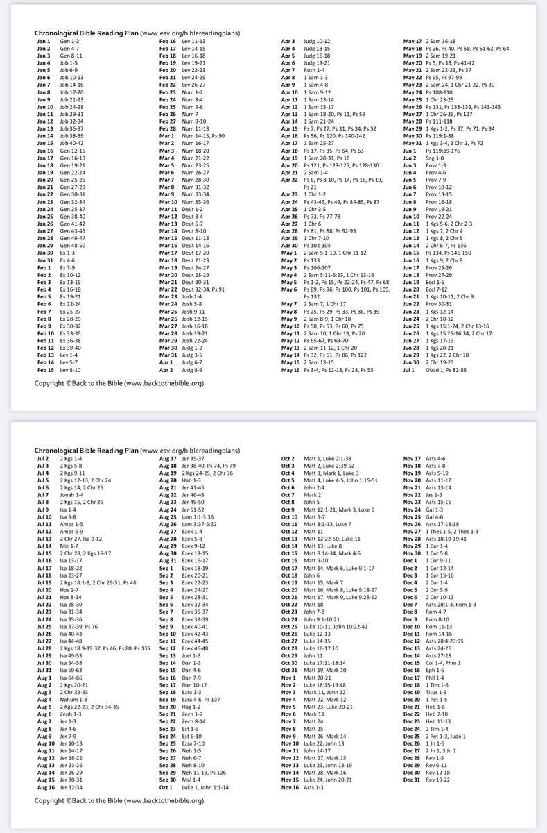 Alexander the OK (Wu Tang Killer Bee/Sir Nose)⬛️🟧 tweet media
