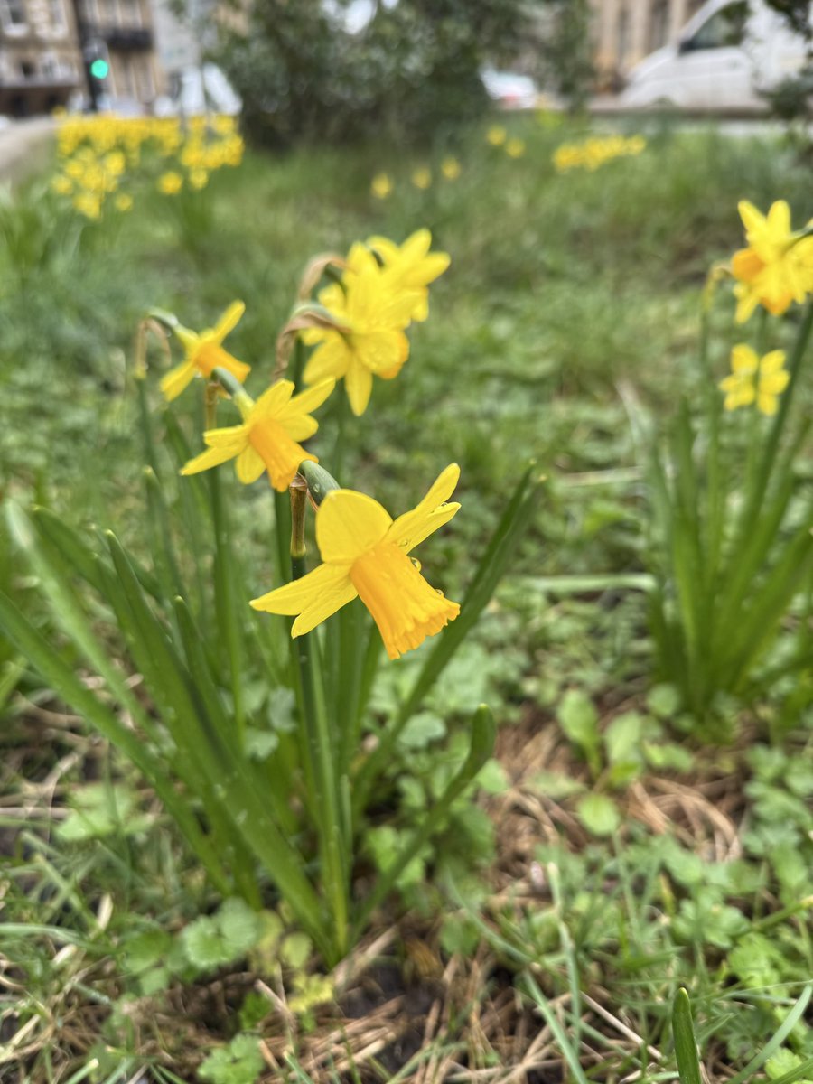 aims ⸆⸉ 🦋❤️‍🔥 tweet media