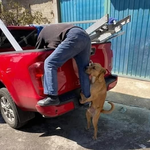 Arley Davidsom tweet media