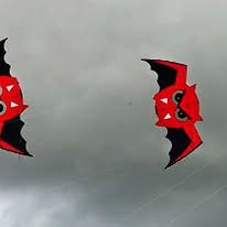 Chris24...I.o.Solana🧵 tweet media