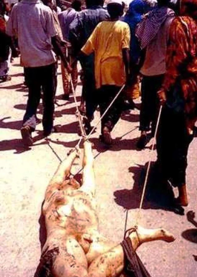 Blue Bear tweet media