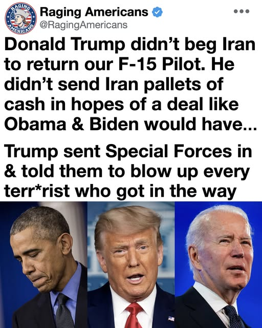 NWRain-Judi tweet media