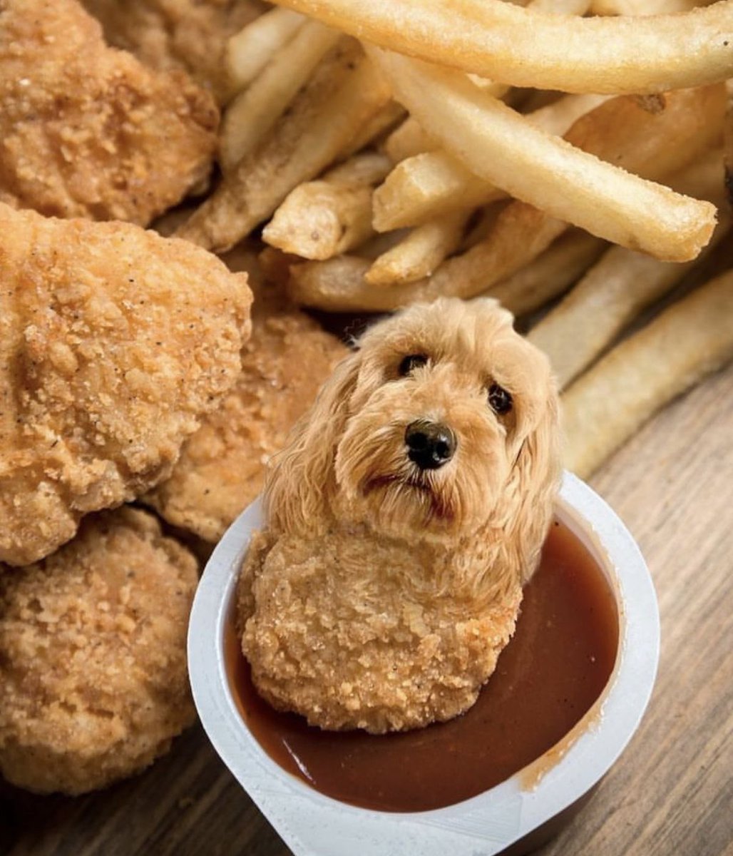 ash b. pebble tweet media