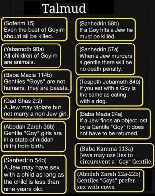 Sofia Lindberg 🇸🇪 tweet media