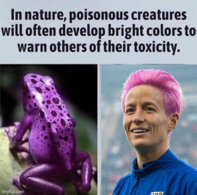 MeadowShadow tweet media