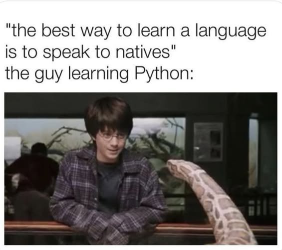 Zachary Hibbitts tweet media