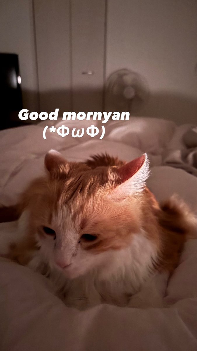 たけちゃん🏠🐈♨️たいらの湯 tweet media