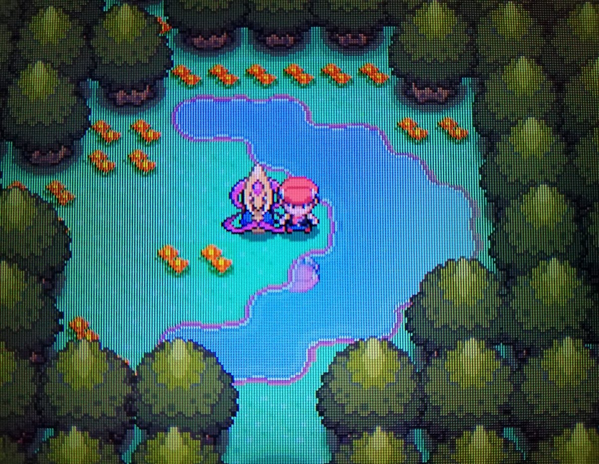 pokémon.nds tweet media