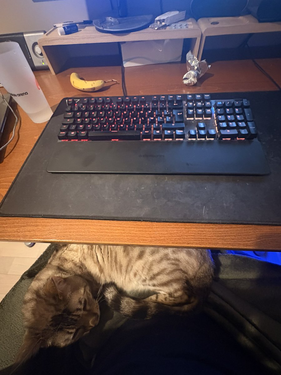 ស្នេហា tweet media