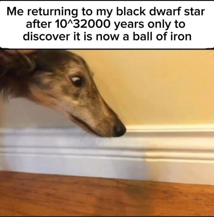 ThePhysicsMemes's tweet image. Infinite patience + Immortality to see the iron star #research