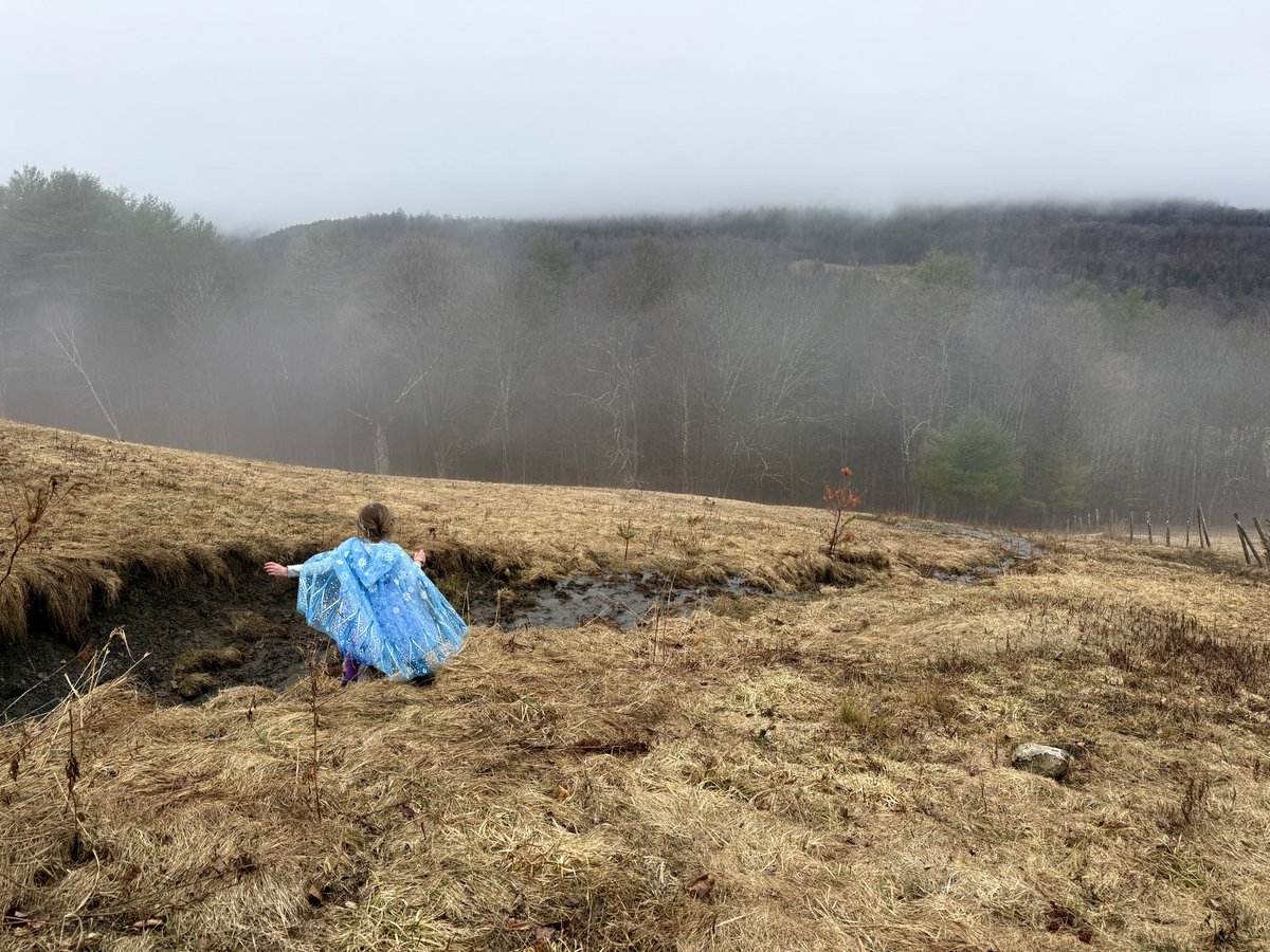 Lady Hollow Tree tweet media